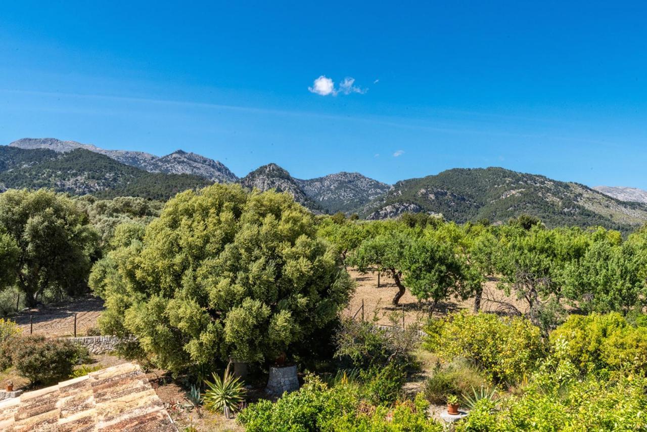 Finca Son Arnau Selva  Esterno foto